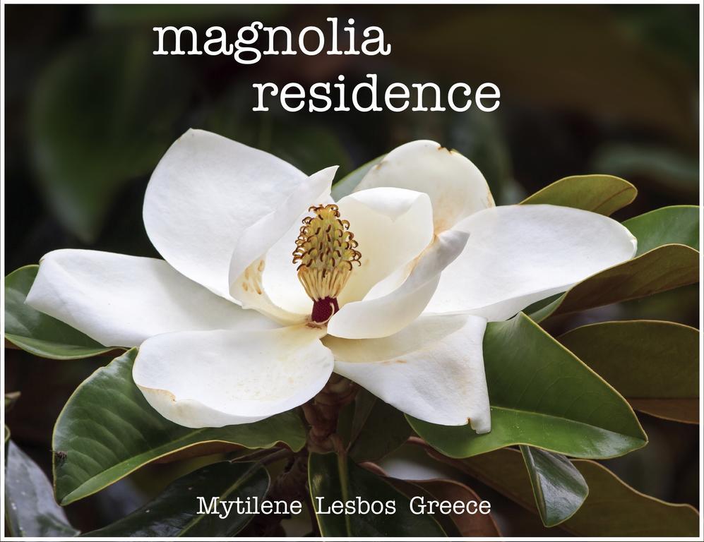 Magnolia Residence Митилини Экстерьер фото